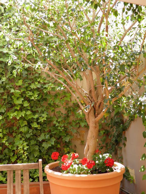 Suitur Courtyard Apartment Barcelona Exterior foto